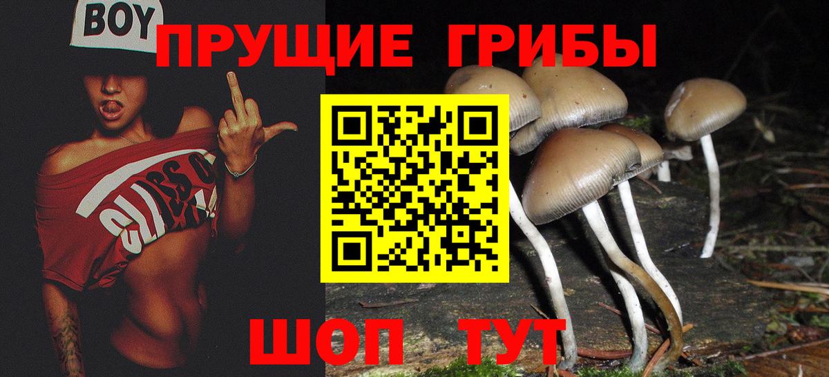 Галлюциногенные грибы Cubensis Еманжелинск