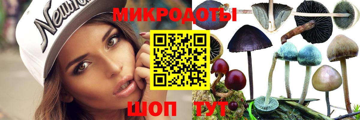 Галлюциногенные грибы мицелий  Вход с VPN  Галлюциногенные грибы мухоморы  Еманжелинск 